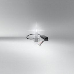 Lámpara LEDriving® Osram HLT H1 24V 12W P14.5s 6000K 🌟
