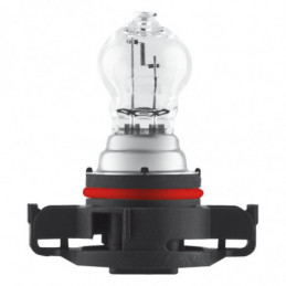 Bombilla Osram 2504 - PSX24W 12V 24W PG20/7 1 ud. 💡 Bombilla Osram 2504 - PSX24W 12V 24W PG20/7 1 ud. 💡