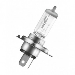 Potente rendimiento para vehículos pesados con OSRAM TRUCKSTAR PRO NextGen +120% P43t 24V 75/70W 💡