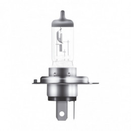 Potente rendimiento para vehículos pesados con OSRAM TRUCKSTAR PRO NextGen +120% P43t 24V 75/70W 💡