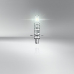 Potente rendimiento: Halogen OSRAM TRUCKSTAR PRO NextGen +120% P14,5s 2 💡
