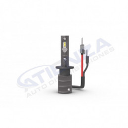 **Philips Ultinon Pro6000 Boost H1: Iluminación LED de Alta Calidad para Vehículos 🚗 | Atienza Auto Distribuciones - Portal B2B*